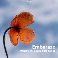 Zen - Meditation Weekend & Sueño Profundo & Sueño Profundo & Meditation Weekend
