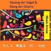 Timeout Ku & Vögel - Music Arrow
