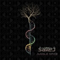 Spectrum - Savej
