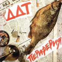Периферия - ДДТ