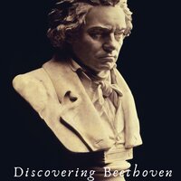 Op. 110 Allegro Molto - Ivano Palma & Ludwig van Beethoven