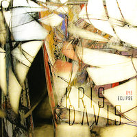 Empty Beehive - Kris Davis