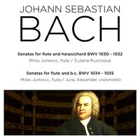 Flute Sonata in E Major, BWV 1035: I. Adagio ma non tanto - Juraj Alexander & Milos Jurkovic & Johann Sebastian Bach