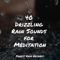 Rain, Evening, Leaves - Calming Sounds & Meditation Music Club & Ambient Nature Project