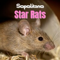 Big Name - Star Rats