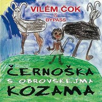 Proti proudu - Vilem Cok & Petr Henych
