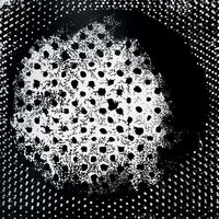 The Third Planet - Biosphere