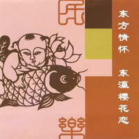 中国之夜 - 新时代轻音乐团