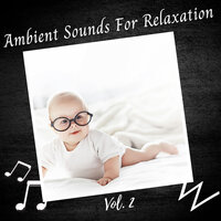 Fast Flowing River - Soft Music & Focus & Dog Sleep Dreams