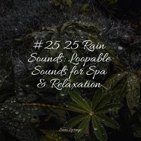Rain in the Jungle - White Noise for Baby Sleep & Rainy Sounds & Relaxing music