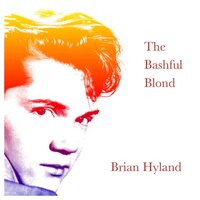 Cozy Little Compact Car - Brian Hyland