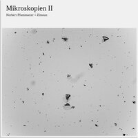 Mikroskopie 2.2 - Zimoun & Norbert Pfammatter
