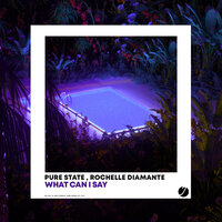 What Can I Say - Pure State & Rochelle Diamante
