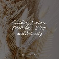 Awakening - Bath Spa Relaxing Music Zone & Rain Forest FX & Music For Absolute Sleep