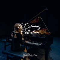 Me Time - Exam Study Classical Music Orchestra & Piano Therapy Sessions & Calming Piano