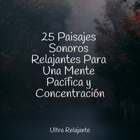 Rocas Sobre Hielo - Musica Meditaction & Sonidos De Lluvia y Tormentas & Música a Relajarse