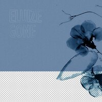 Obsolescence - Eluize