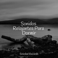 Flujos Ocultos - Musica para Dormir 101 & Sueños Triplete & Relajante Música de Piano Oasis