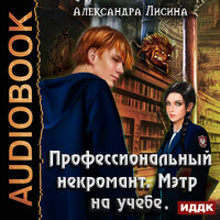 Лисина Александра. «Профессиональный некромант. Книга 2. Мэтр на учебе». Часть 24 - Шабров Дмитрий