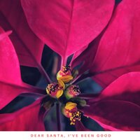 The Holly and the Ivy - Here We Go A-Caroling - Percy Faith & His Orchestra & Percy Faith