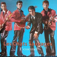 Dis-moi si c'est l'amour - Les Chats Sauvages