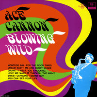 Me And Bobby McGhee - Ace Cannon