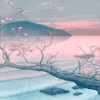 Too Cozy - Smoothkid
