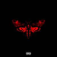Trigger Finger - Lil Wayne & Soulja Boy
