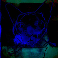Failing Stock Play - C}{imps 8 My Ears