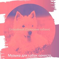 Видения (Щенки) - Музыка для собак оркестр