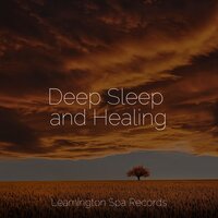 Flowers in Bloom - Native American Flute & Natural Samples & Spa Zen