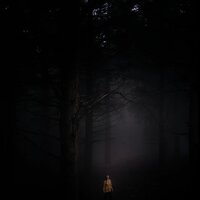 Twilight Harmony - nøave