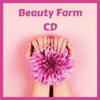 Wellness Time - Serenity Relaxation Music Spa