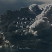 Conexión Cósmica - El hada de las canciones de cuna & Natureza & Massagem Guru