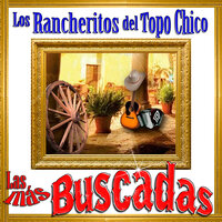 Solamente una Vez - Los Rancheritos Del Topochico