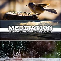 Soft Rain in Oasis - Healing Power Natural Sounds Oasis