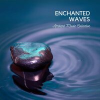 Serene Night - Ambient Music Collective