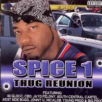 Thug Reunion - Spice 1