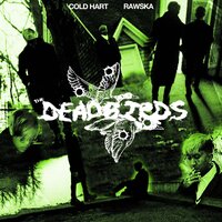 Silver Gun - Rawska & Cold Hart