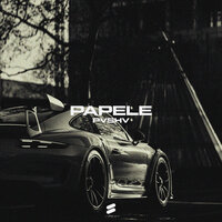Papele - PVSHV