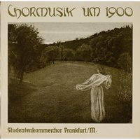 Kantate für Tenor Solo, Chor und Klavier: Elegie auf den Tod der Tochter Olga - Studentenkammerchor Frankfurt am Main & Bernd Ickert & Hans Michael Beuerle & Леош Яначек