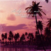 Tropical Island Beach Ambience, Pt. 20 - Sebastian Riegl