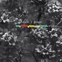 Ich mag nicht Rosenkohl - Vera Kappeler