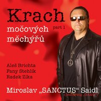 Metlovej šejk - Miroslav Sanctus Saidl & Aleš Brichta