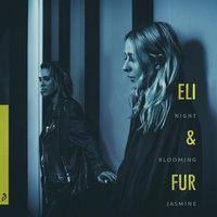 Something Was Real - Eli & Fur