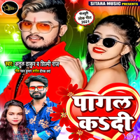 Hamra Choli Me Up Bihar - Atul Thakur