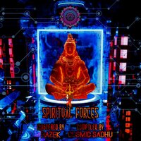 YOU ARE THE CONNECTION - COSMIC SADHU