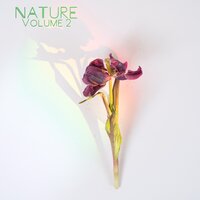 Flowing Waters of Tranquility - Fabricantes De Lluvia & Academia de Música con Sonidos de la Naturaleza & Naturgeräusche