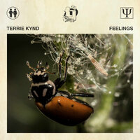 Feelings - Terrie Kynd