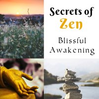 Mindfulness Meditation - Relaxing Distraction Therapy Zone
